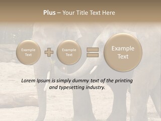 Sand Intelligent Fraternal PowerPoint Template