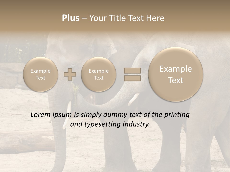 Sand Intelligent Fraternal PowerPoint Template
