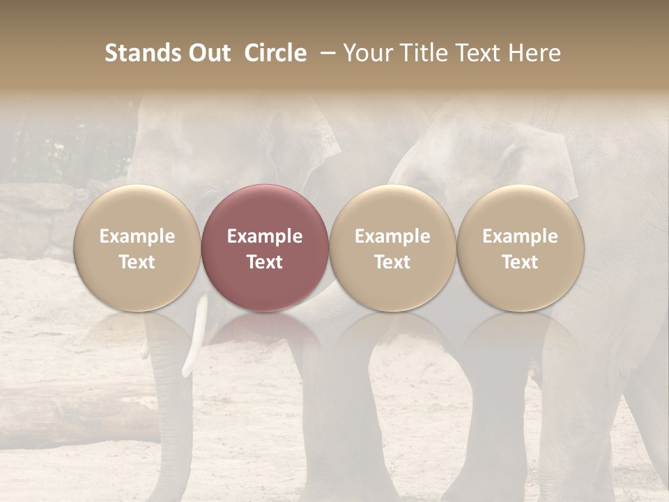 Sand Intelligent Fraternal PowerPoint Template