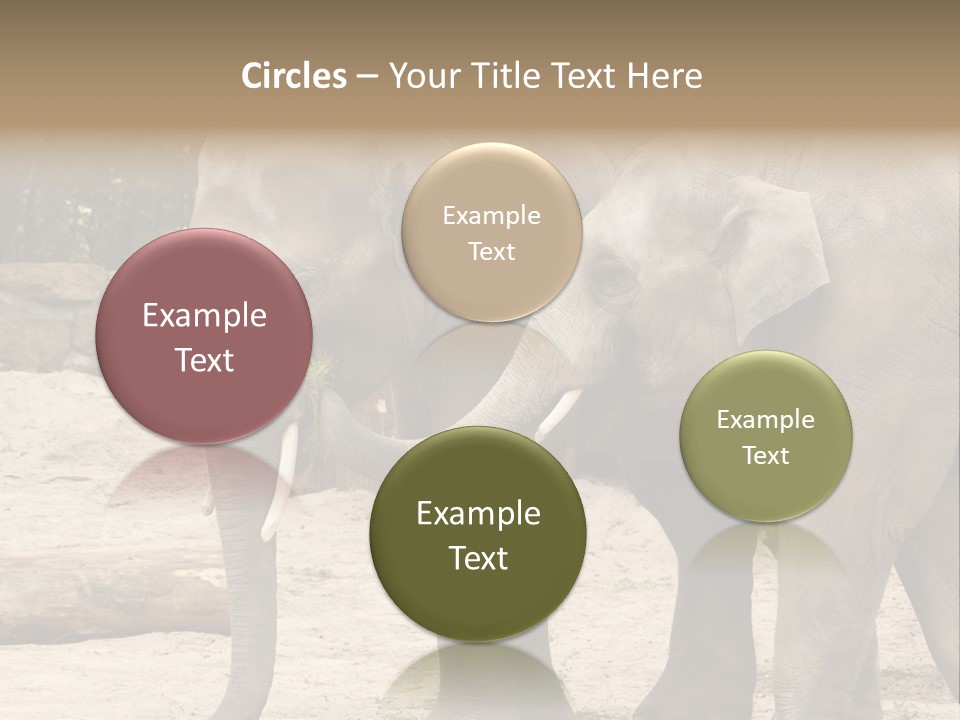 Sand Intelligent Fraternal PowerPoint Template