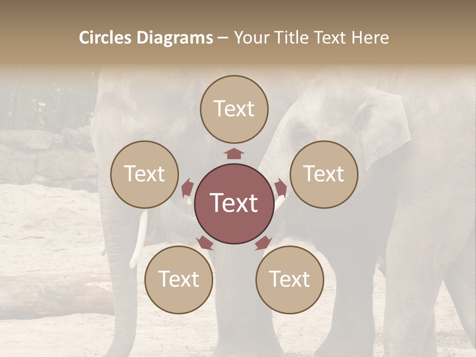 Sand Intelligent Fraternal PowerPoint Template