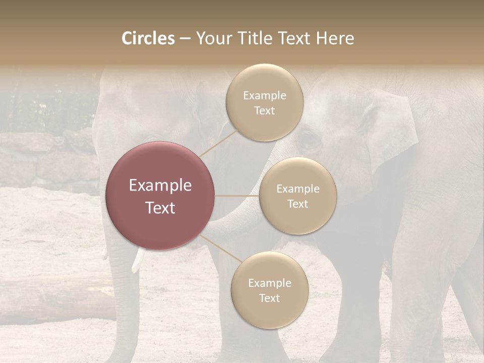 Sand Intelligent Fraternal PowerPoint Template