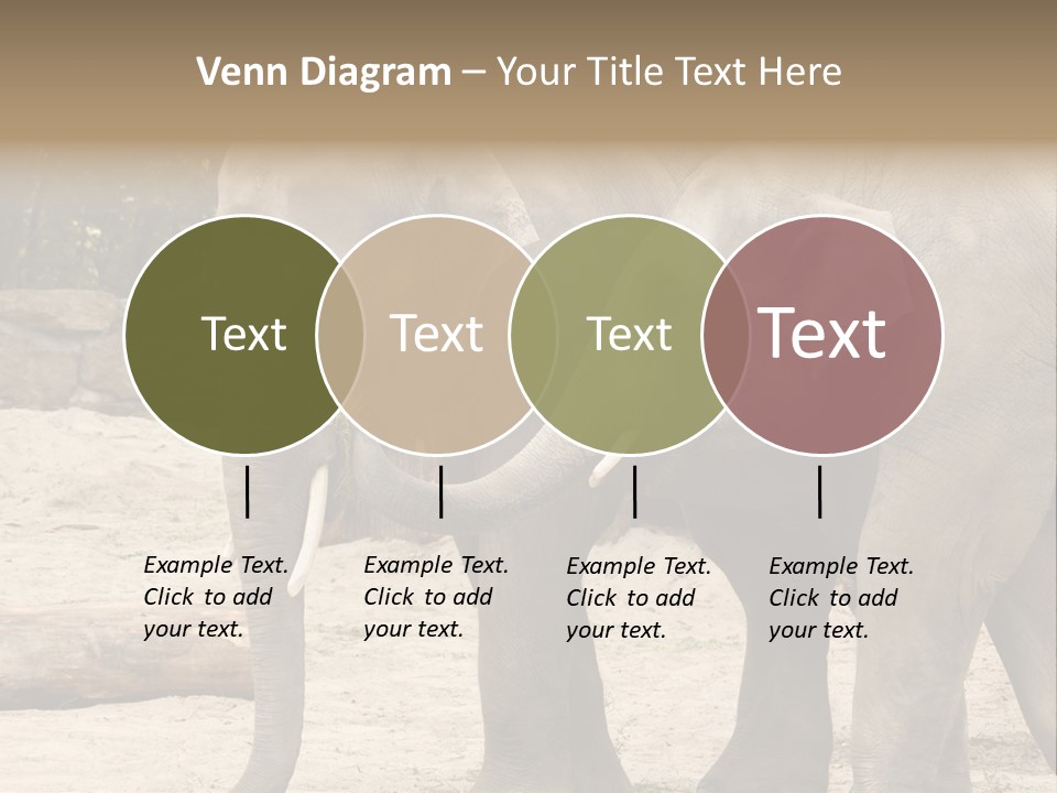 Sand Intelligent Fraternal PowerPoint Template