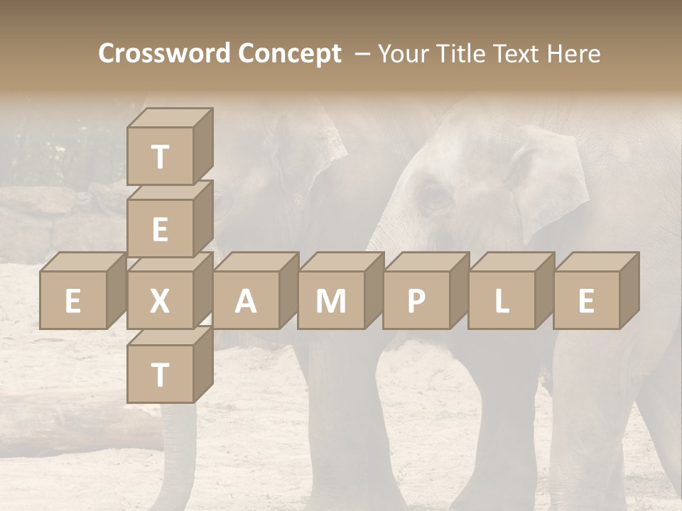 Sand Intelligent Fraternal PowerPoint Template