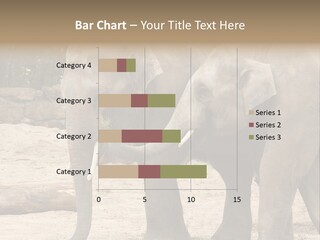 Sand Intelligent Fraternal PowerPoint Template