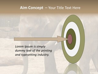 Sand Intelligent Fraternal PowerPoint Template