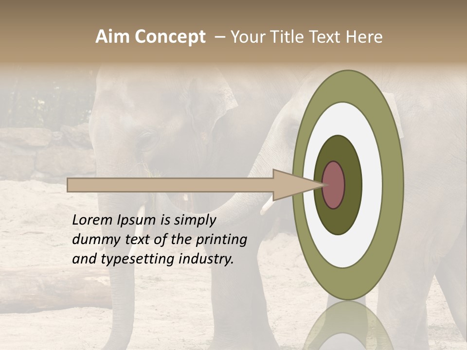 Sand Intelligent Fraternal PowerPoint Template