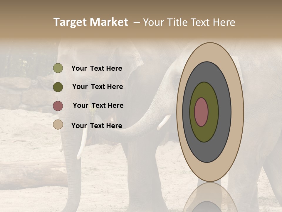 Sand Intelligent Fraternal PowerPoint Template