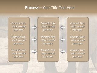 Sand Intelligent Fraternal PowerPoint Template