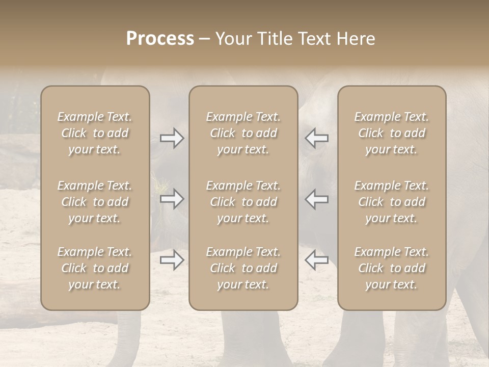 Sand Intelligent Fraternal PowerPoint Template