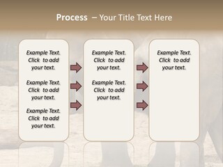 Sand Intelligent Fraternal PowerPoint Template
