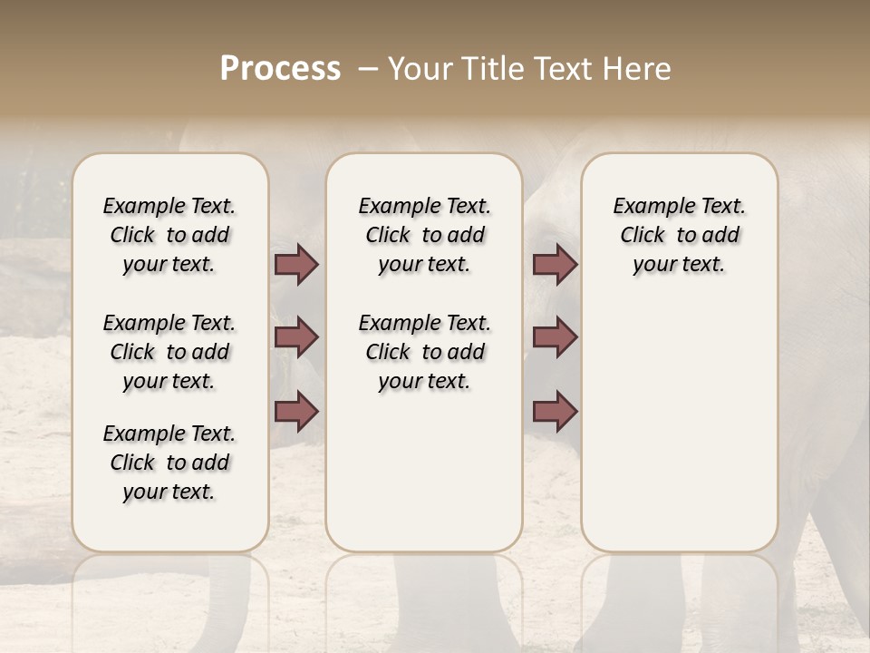 Sand Intelligent Fraternal PowerPoint Template