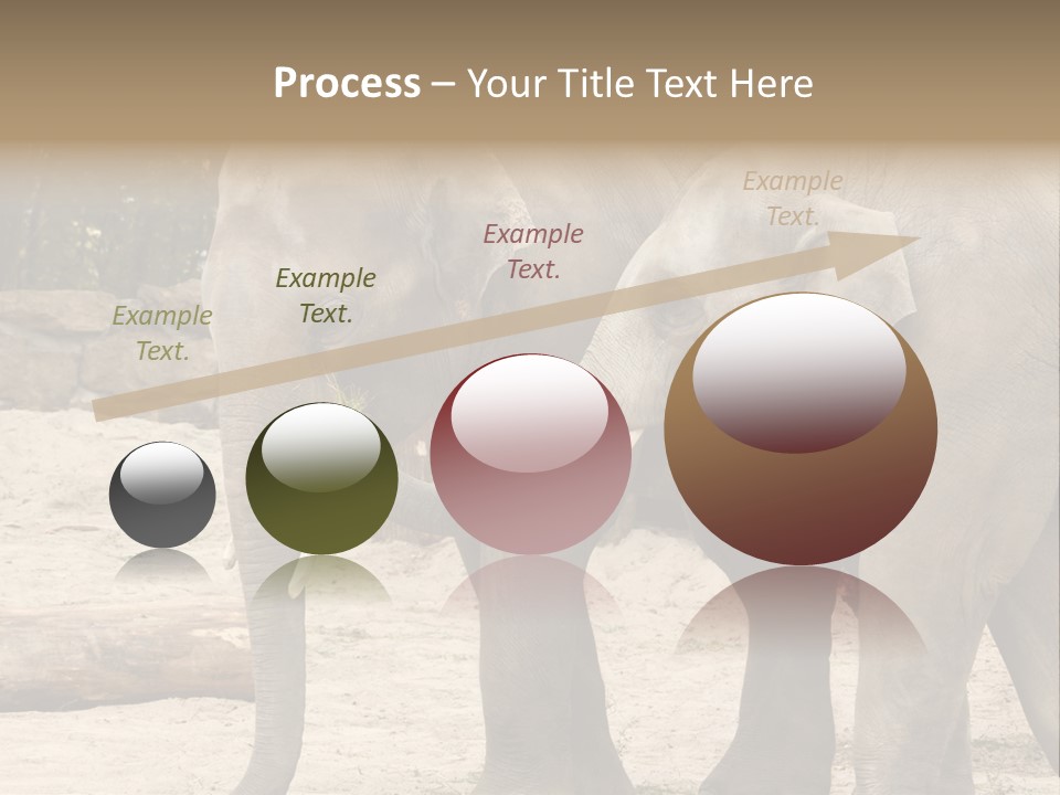 Sand Intelligent Fraternal PowerPoint Template