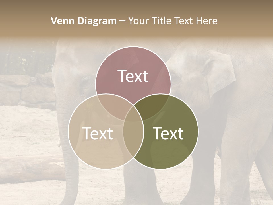 Sand Intelligent Fraternal PowerPoint Template