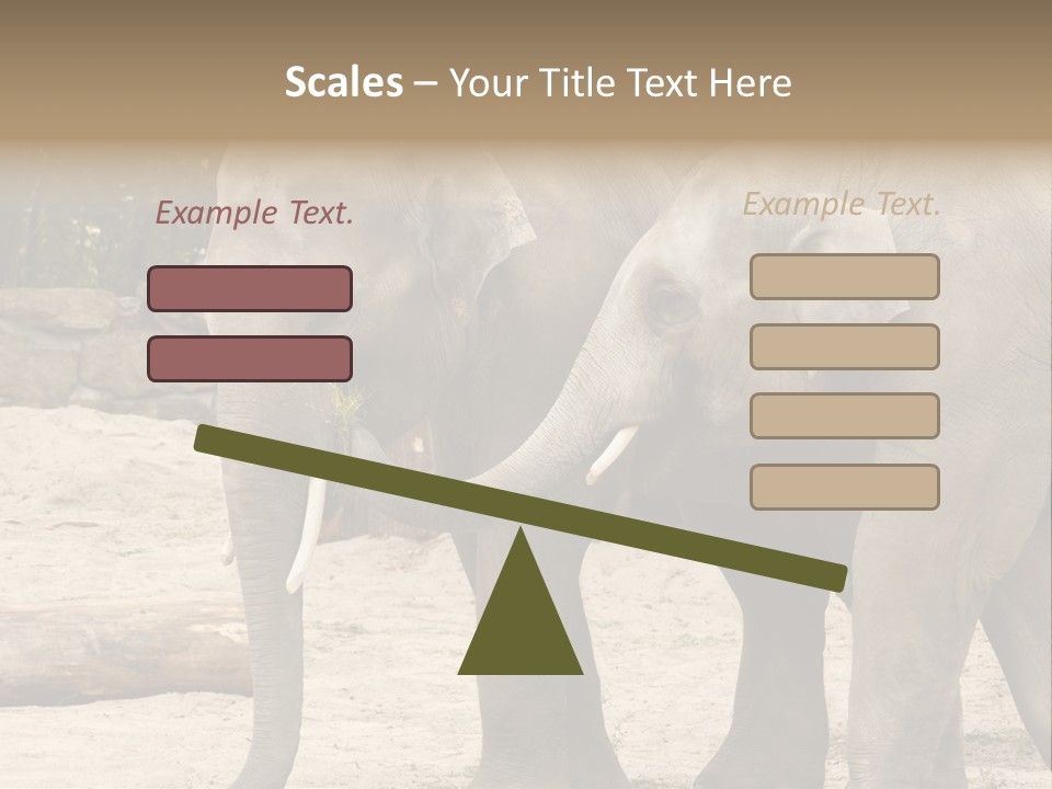 Sand Intelligent Fraternal PowerPoint Template