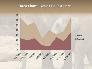 Sand Intelligent Fraternal PowerPoint Template