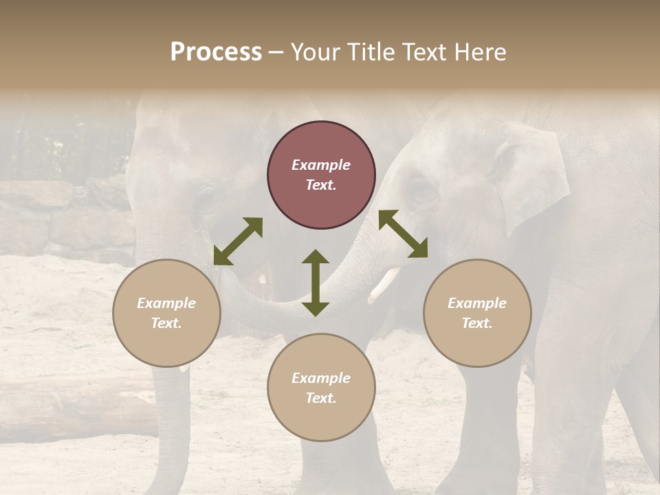 Sand Intelligent Fraternal PowerPoint Template
