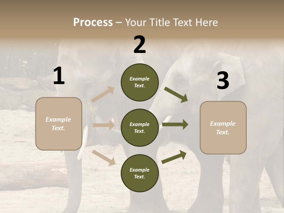 Sand Intelligent Fraternal PowerPoint Template