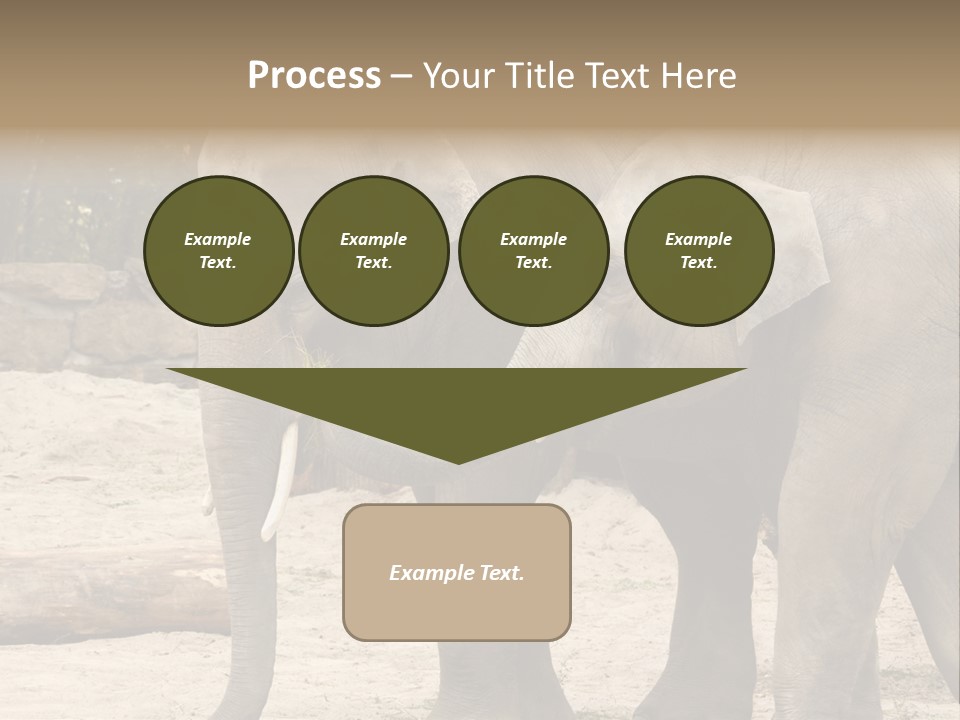 Sand Intelligent Fraternal PowerPoint Template