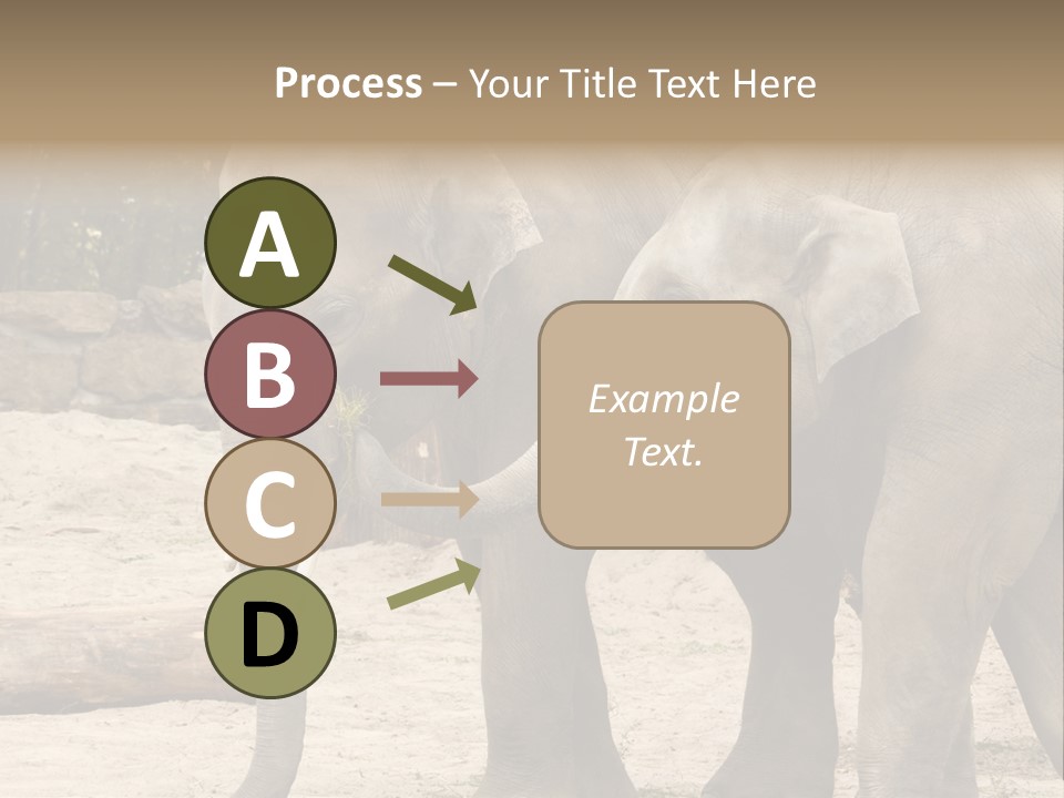 Sand Intelligent Fraternal PowerPoint Template