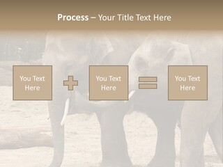 Sand Intelligent Fraternal PowerPoint Template