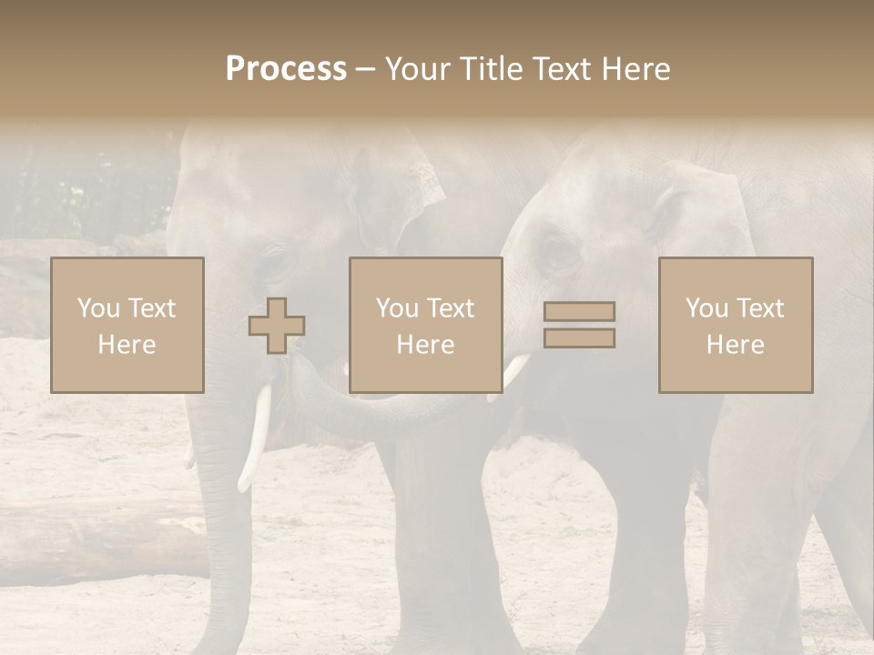 Sand Intelligent Fraternal PowerPoint Template