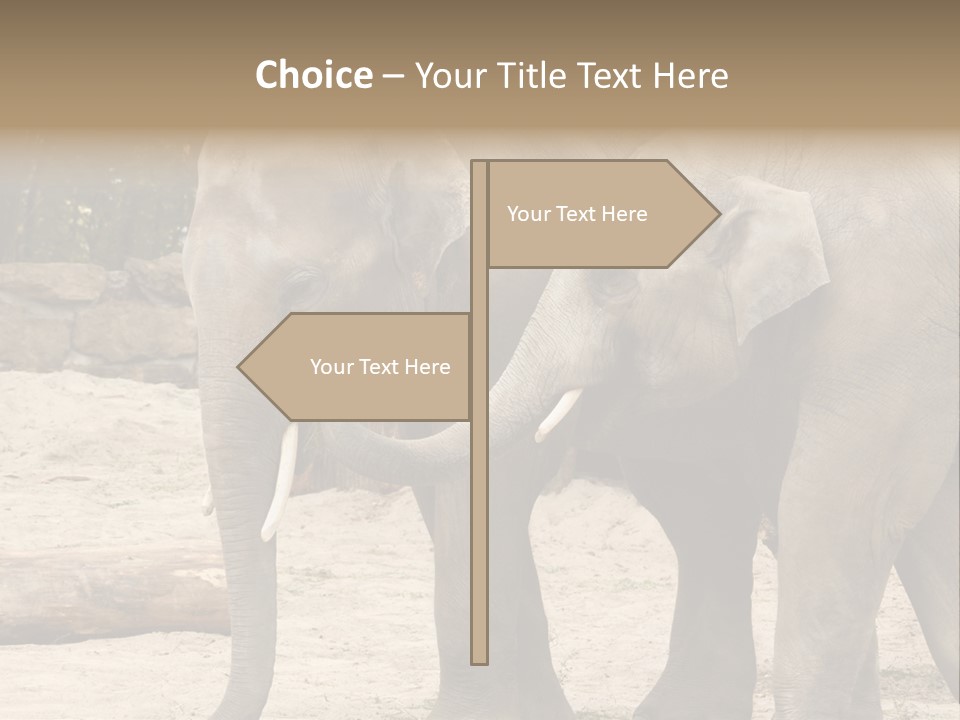 Sand Intelligent Fraternal PowerPoint Template
