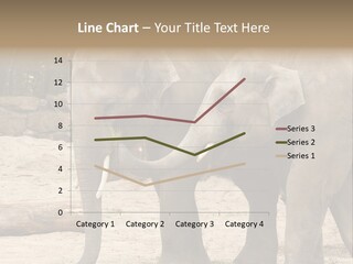 Sand Intelligent Fraternal PowerPoint Template