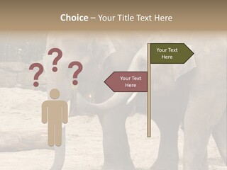 Sand Intelligent Fraternal PowerPoint Template