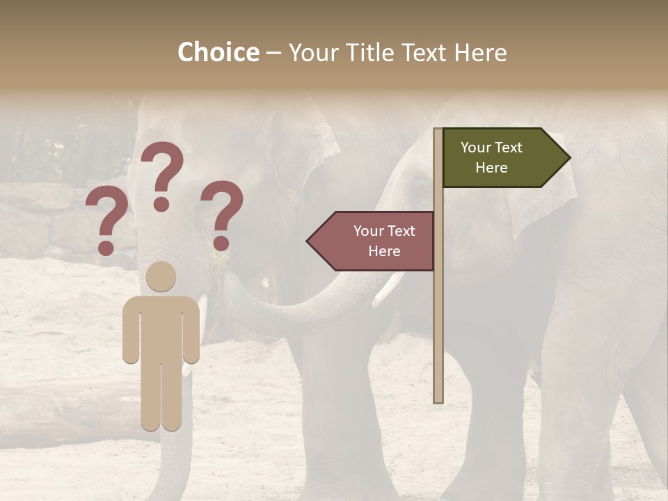 Sand Intelligent Fraternal PowerPoint Template