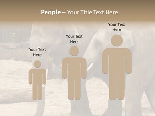 Sand Intelligent Fraternal PowerPoint Template