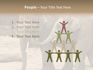 Sand Intelligent Fraternal PowerPoint Template