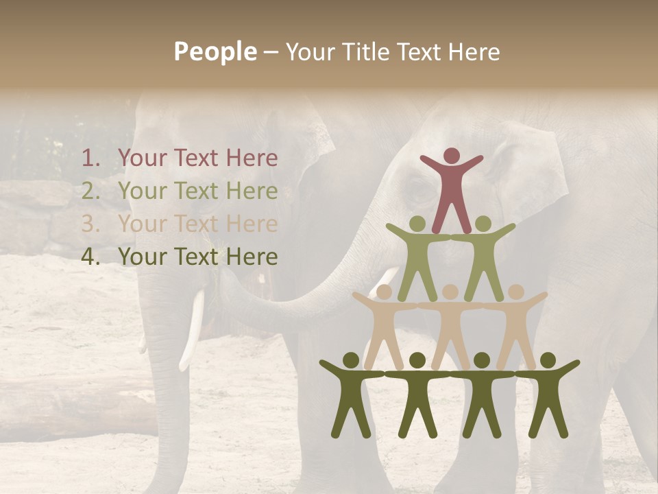 Sand Intelligent Fraternal PowerPoint Template