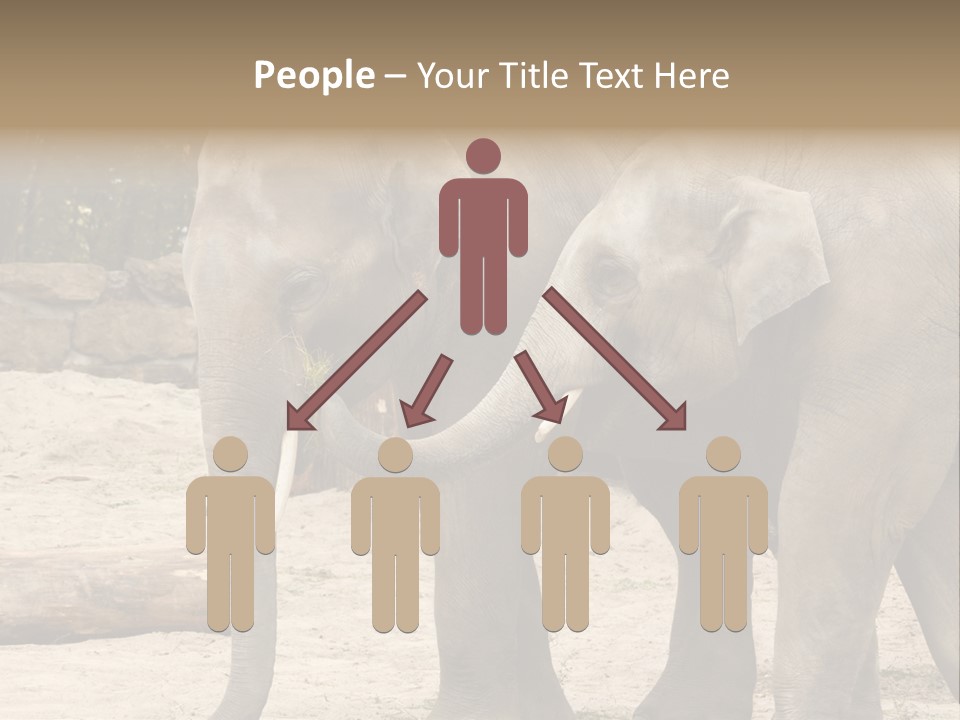 Sand Intelligent Fraternal PowerPoint Template