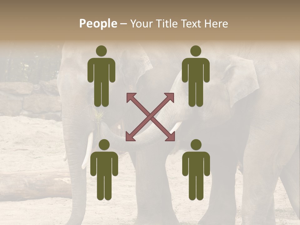 Sand Intelligent Fraternal PowerPoint Template