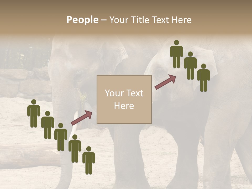 Sand Intelligent Fraternal PowerPoint Template