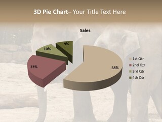 Sand Intelligent Fraternal PowerPoint Template