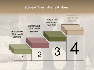 Sand Intelligent Fraternal PowerPoint Template