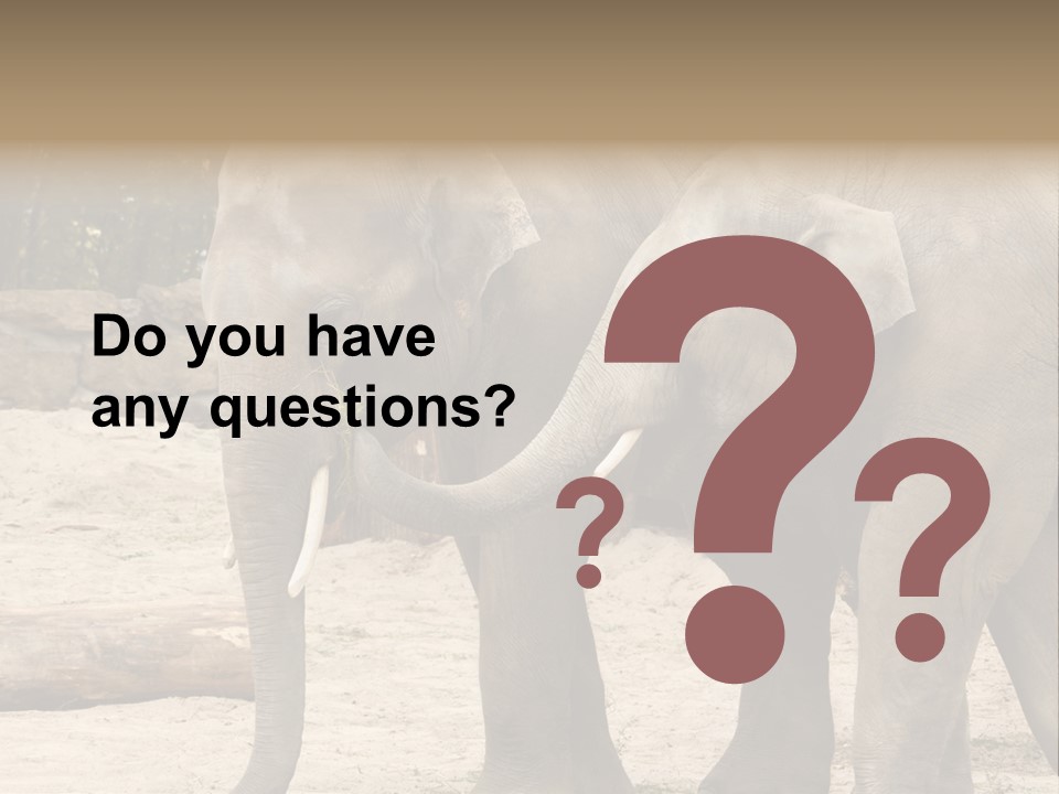 Sand Intelligent Fraternal PowerPoint Template