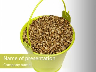 Background Birdfood White PowerPoint Template
