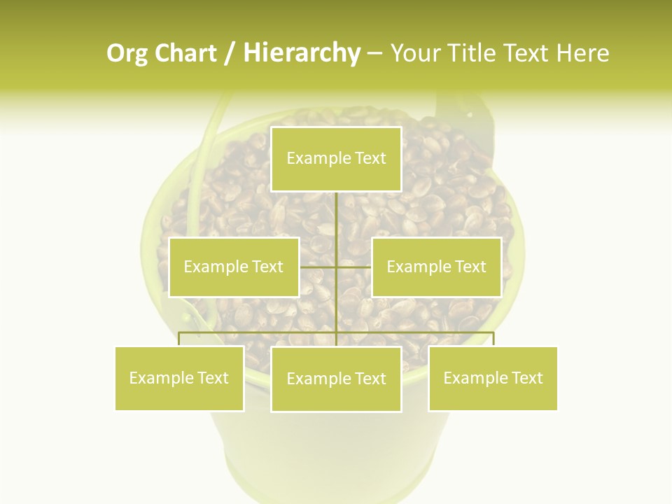 Background Birdfood White PowerPoint Template