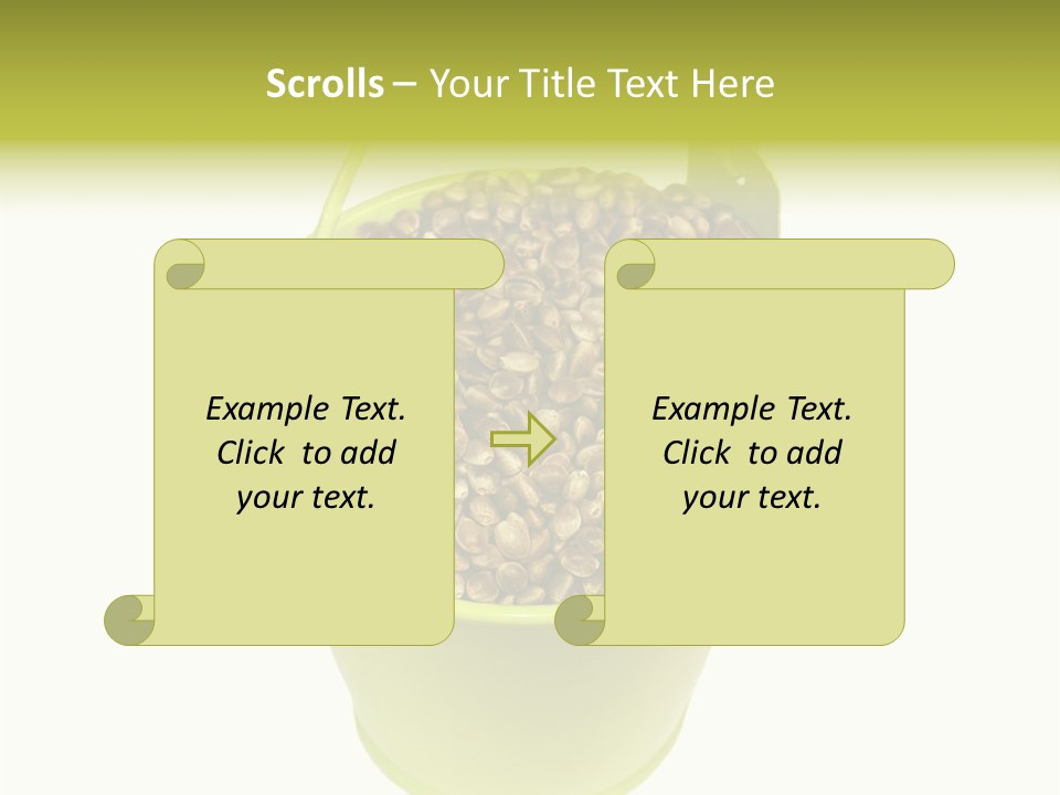 Background Birdfood White PowerPoint Template