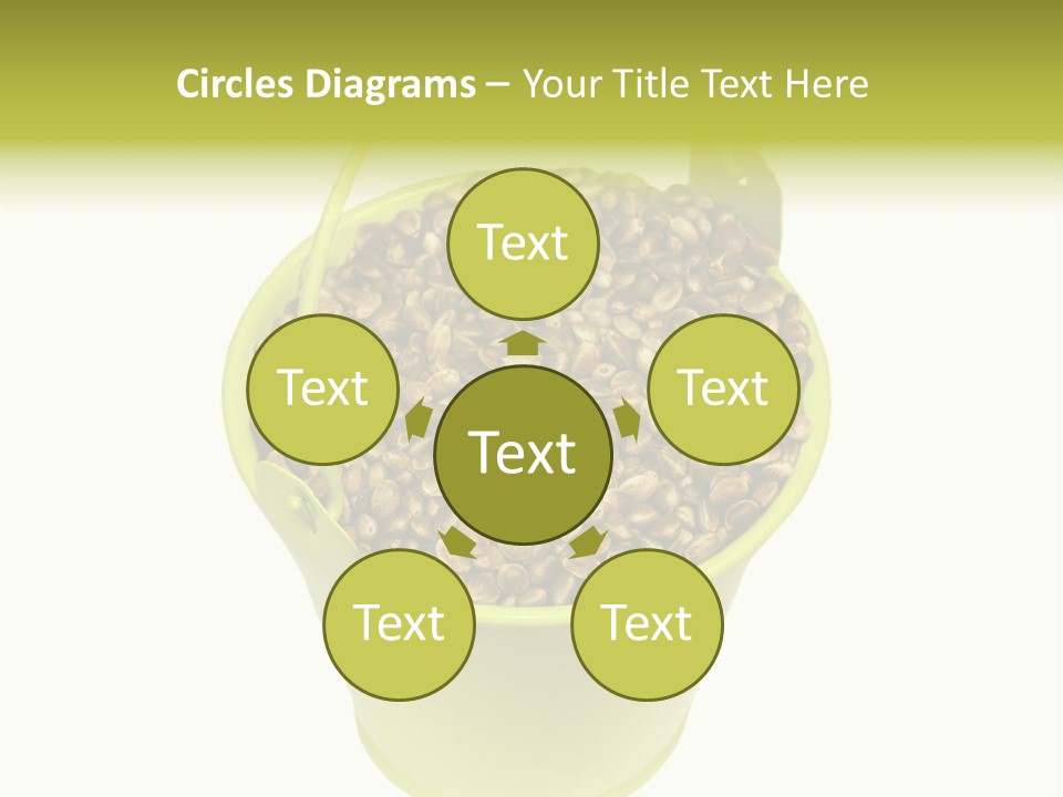 Background Birdfood White PowerPoint Template