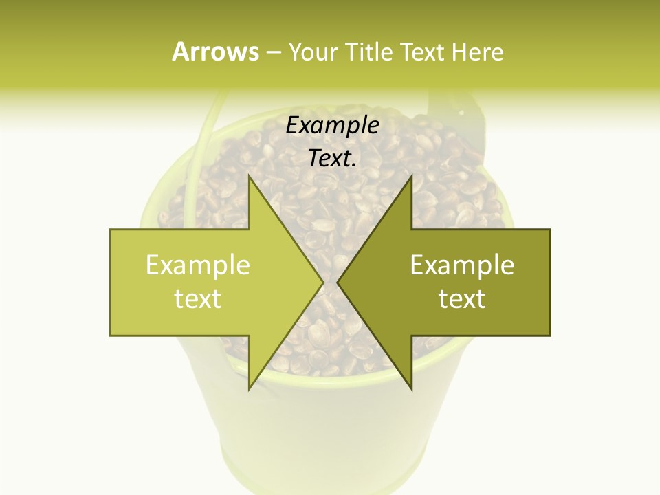 Background Birdfood White PowerPoint Template