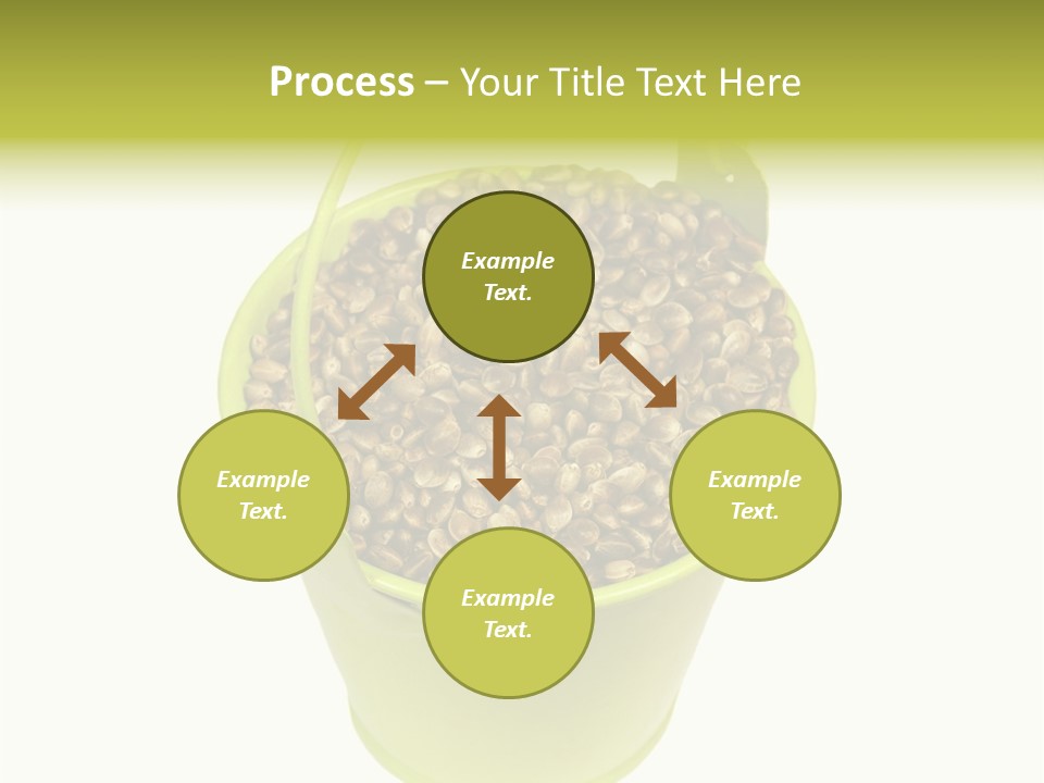 Background Birdfood White PowerPoint Template