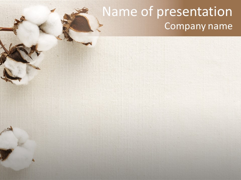 Agriculture Growth Stalk PowerPoint Template