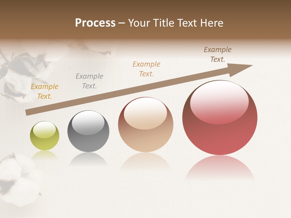 Agriculture Growth Stalk PowerPoint Template