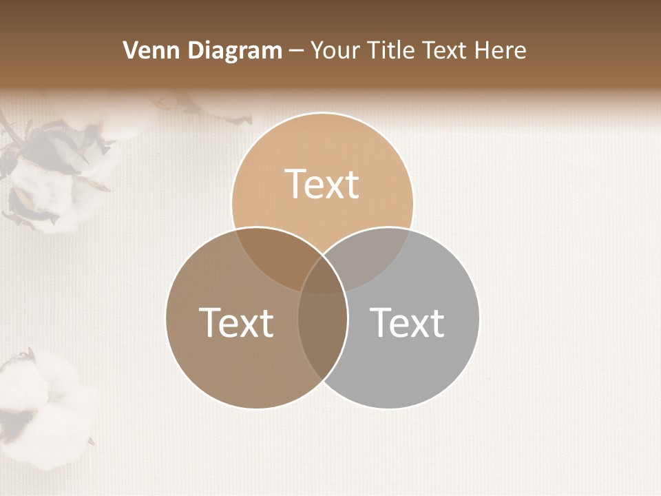 Agriculture Growth Stalk PowerPoint Template
