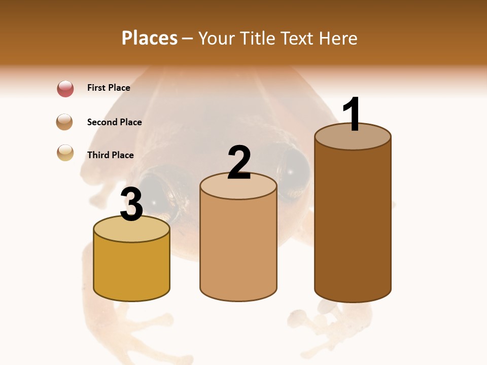 Russian Animal Sheet PowerPoint Template