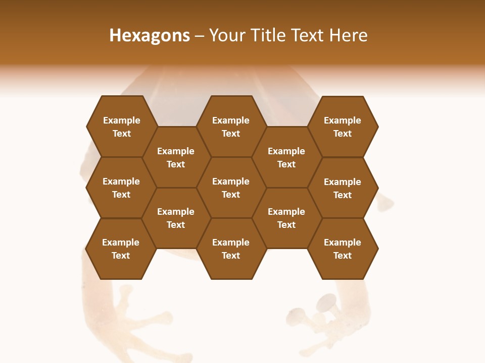 Russian Animal Sheet PowerPoint Template